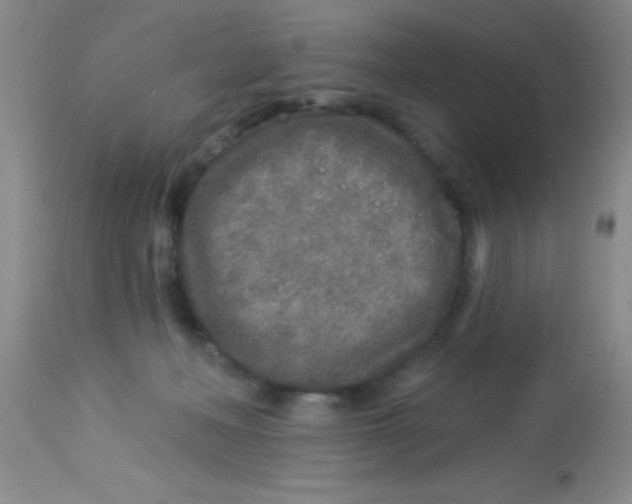 X0000112890222200909181919