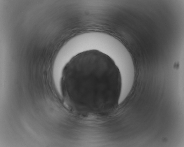 X0000112890223200909181919