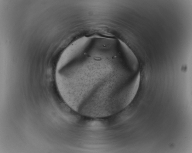 X0000112890224200909181919