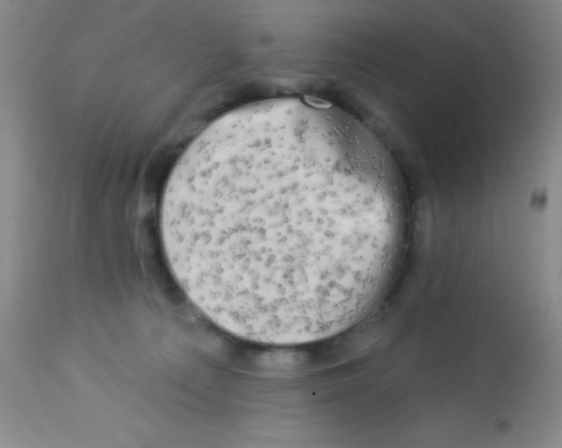 X0000112890225200909181919