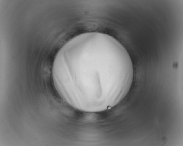 X0000112890226200909181919