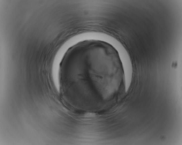 X0000112890227200909181919