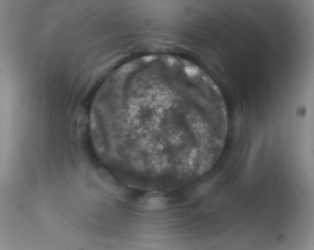 X0000112890228200909181919