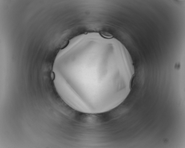 X0000112890229200909181919