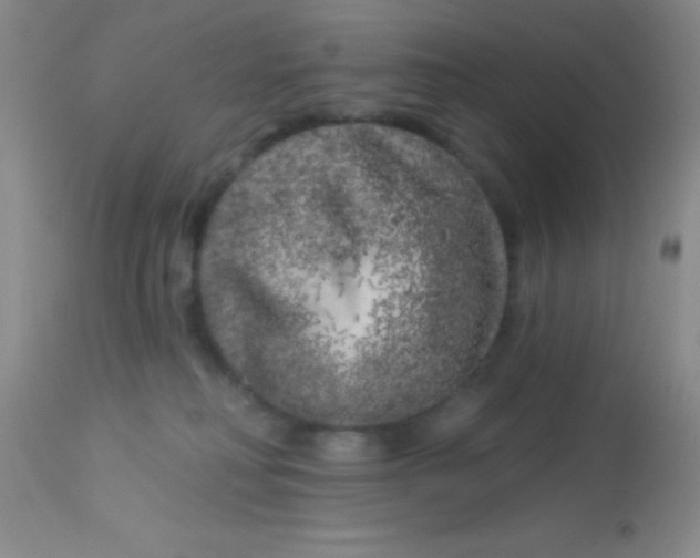 X0000112890230200909181919
