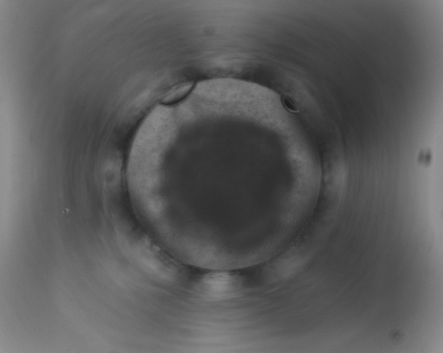 X0000112890231200909181919