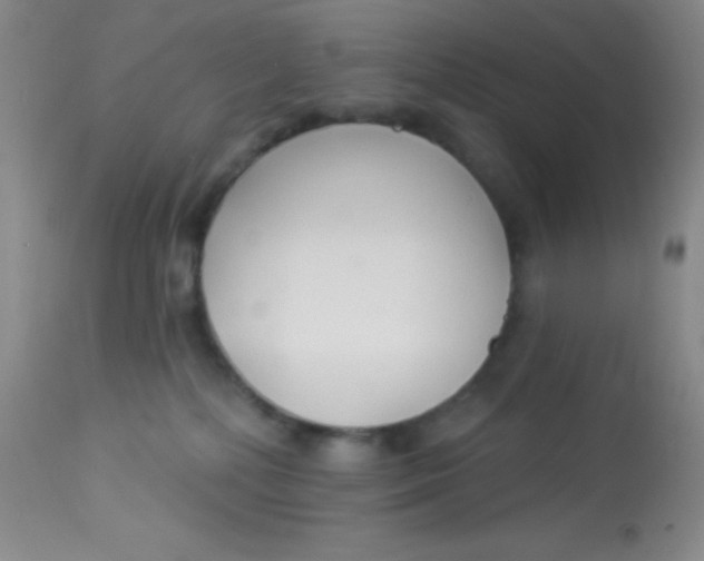 X0000112890232200909181919