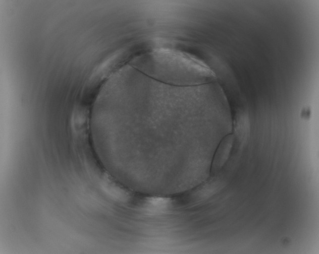 X0000112890233200909181919