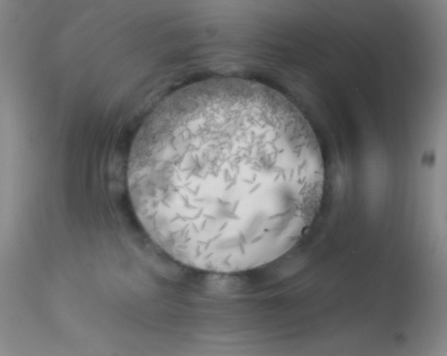 X0000112890234200909181919