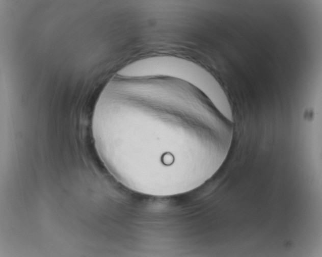 X0000112890235200909181919