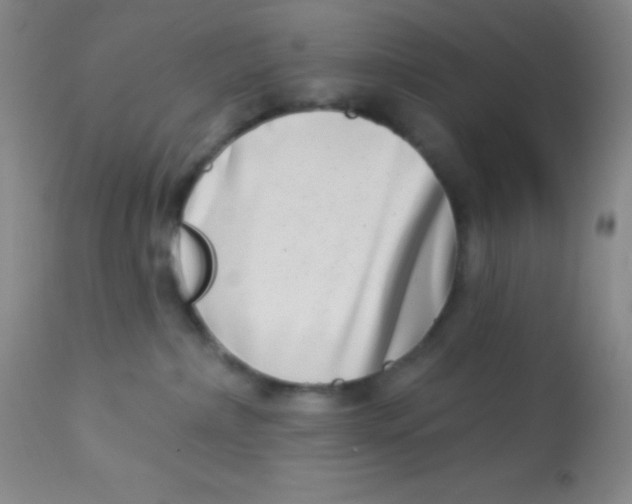 X0000112890236200909181919