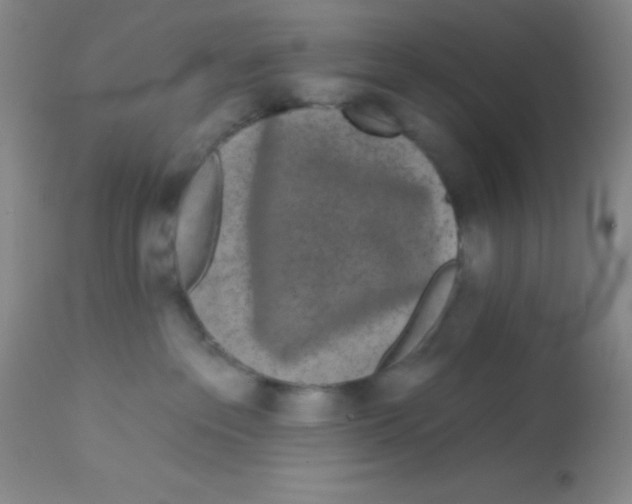 X0000112890237200909181919