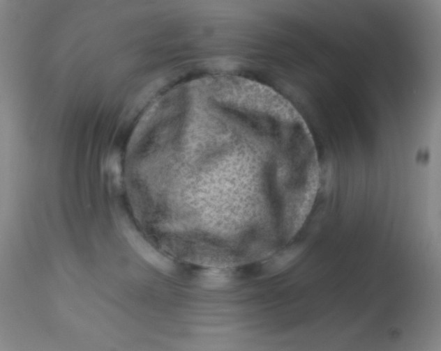 X0000112890238200909181919