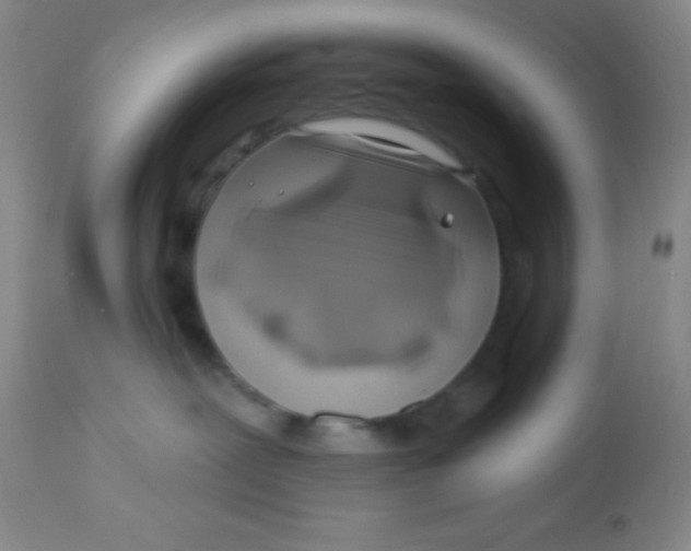 X0000112890239200909181919