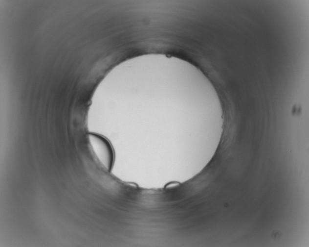X0000112890240200909181919