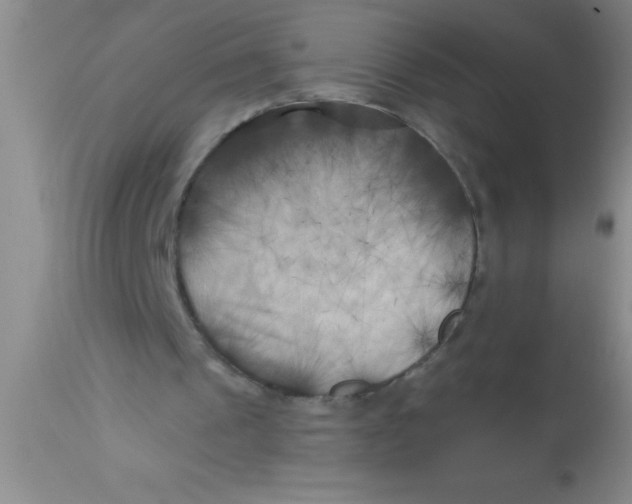X0000112890241200909181918