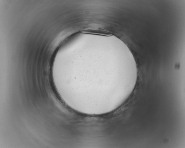 X0000112890242200909181918