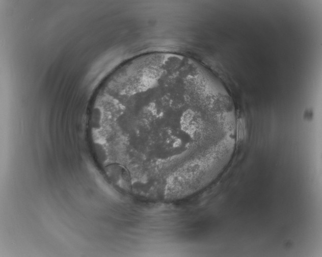 X0000112890243200909181918