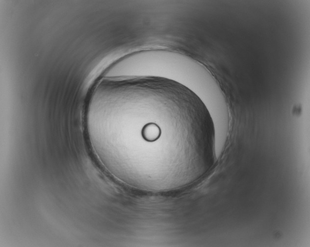 X0000112890244200909181918