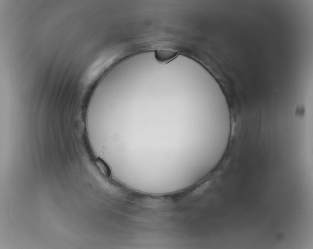 X0000112890245200909181918