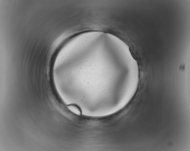 X0000112890246200909181918