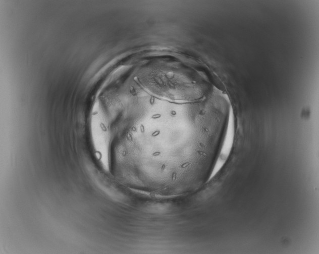 X0000112890247200909181918