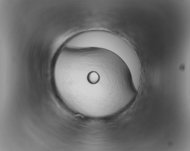 X0000112890248200909181918