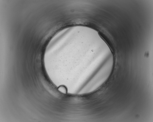 X0000112890250200909181918