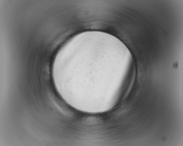 X0000112890251200909181918