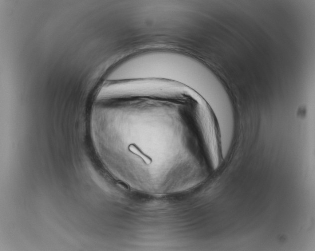 X0000112890252200909181918