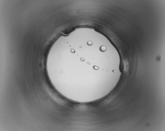 X0000112890253200909181918
