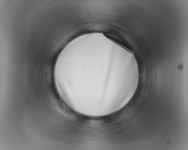 X0000112890255200909181918