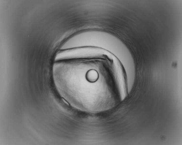 X0000112890256200909181918