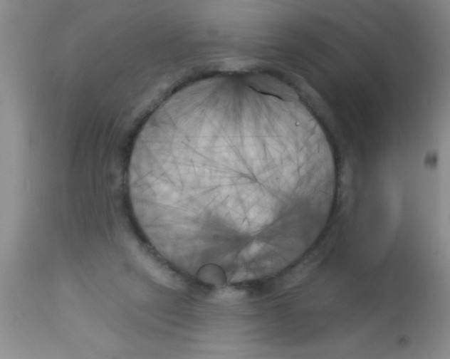 X0000112890257200909181918