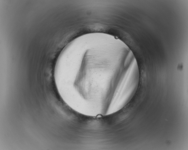X0000112890259200909181918