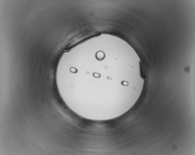 X0000112890260200909181918