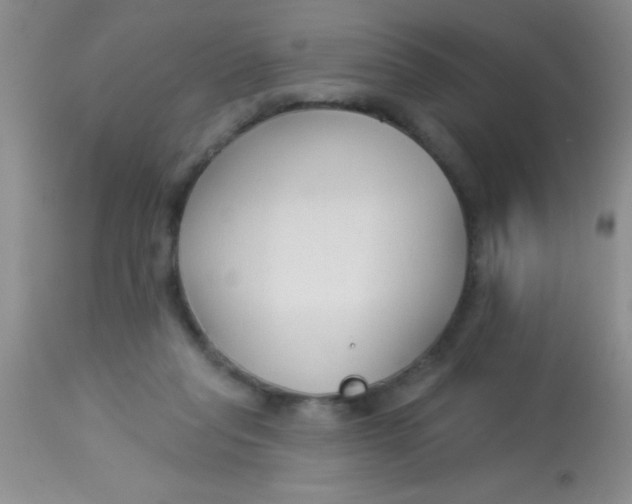 X0000112890261200909181918