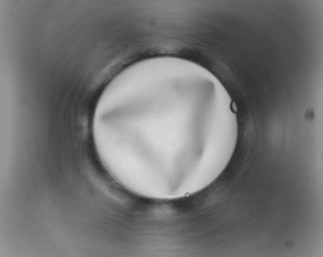X0000112890262200909181918