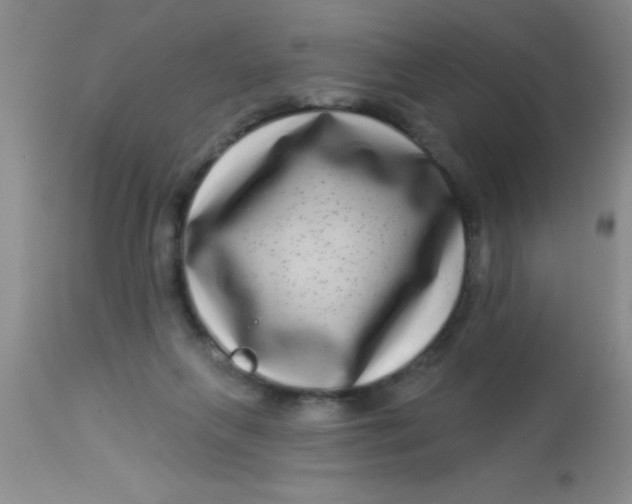X0000112890263200909181918