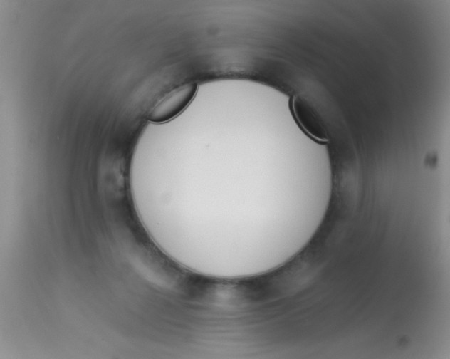 X0000112890264200909181918