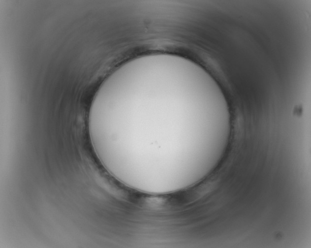 X0000112890265200909181918