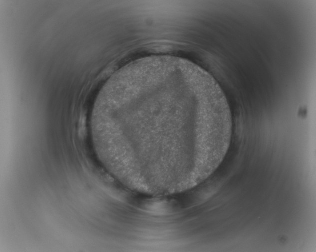 X0000112890267200909181918