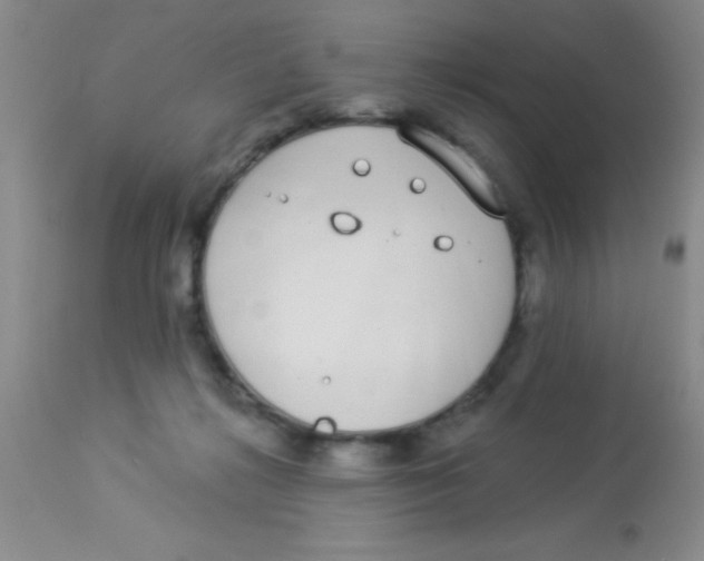 X0000112890268200909181918