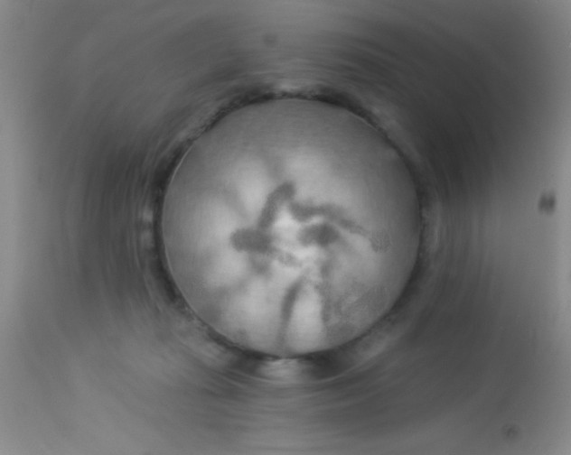 X0000112890269200909181918