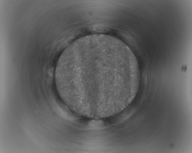 X0000112890271200909181919