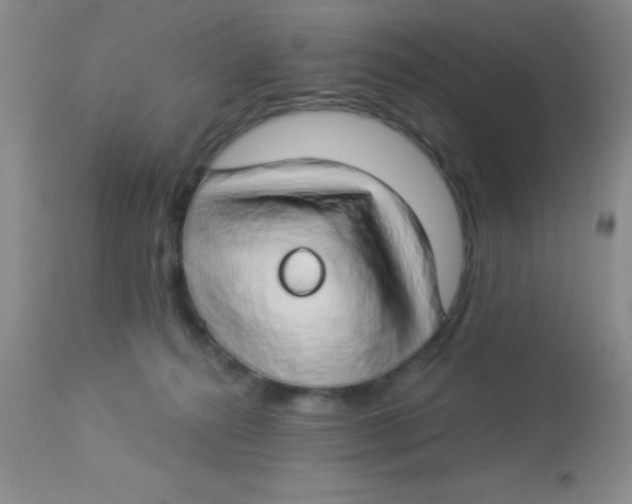 X0000112890272200909181919