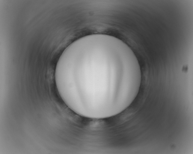 X0000112890274200909181919