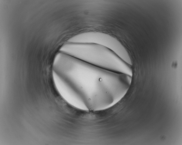 X0000112890276200909181919