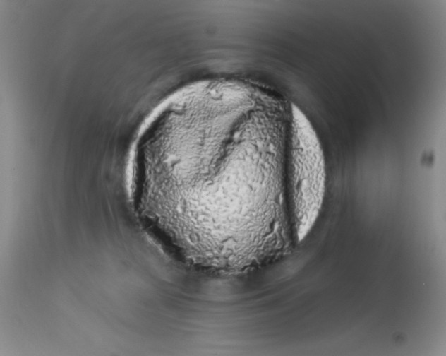 X0000112890277200909181919