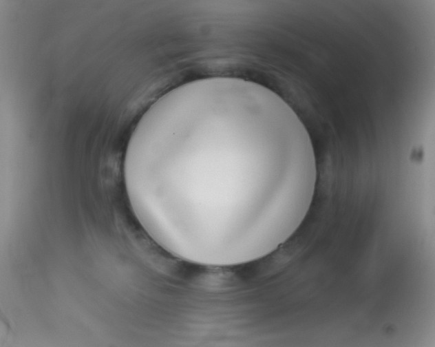 X0000112890278200909181919